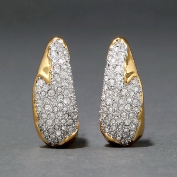 Solanales Pave’ Crystal Sculpted Hoop Earrings Alexis Bittar N13